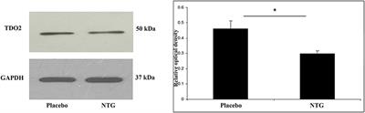 Corrigendum: The Effect of Systemic Nitroglycerin Administration on the Kynurenine Pathway in the Rat